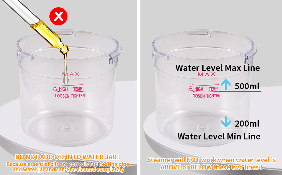 HeavenBird Nano Ionic Facial Steamer