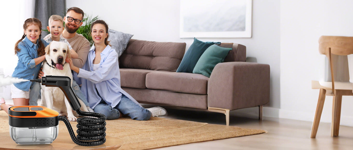 steam cleaner