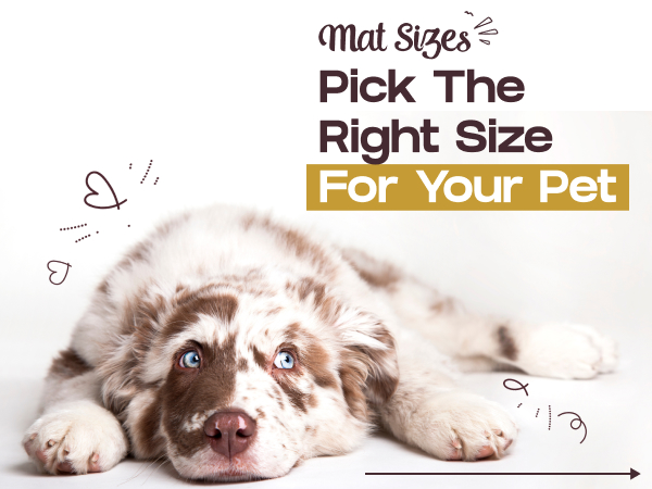 Dog food mat