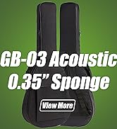 Guitar Bag 3