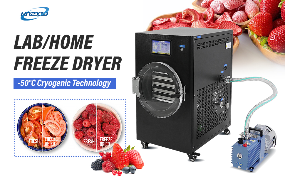 Vacuum Freeze Dryer