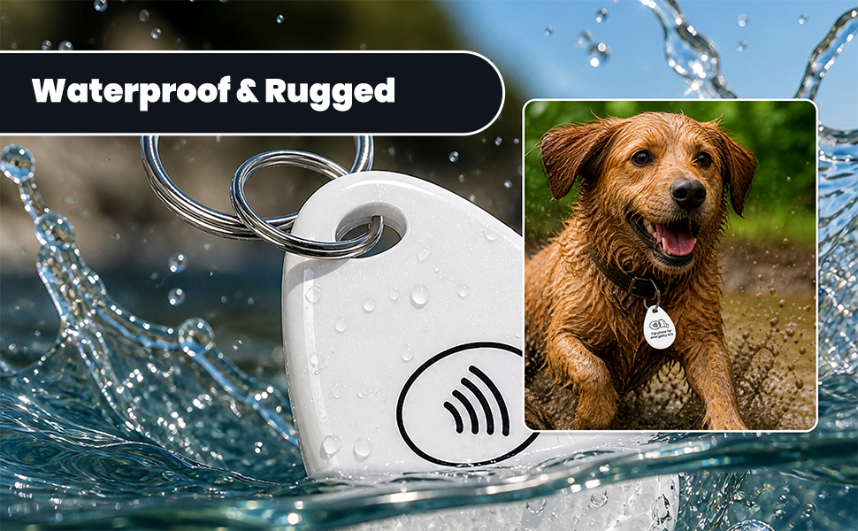 Emergency ID tag