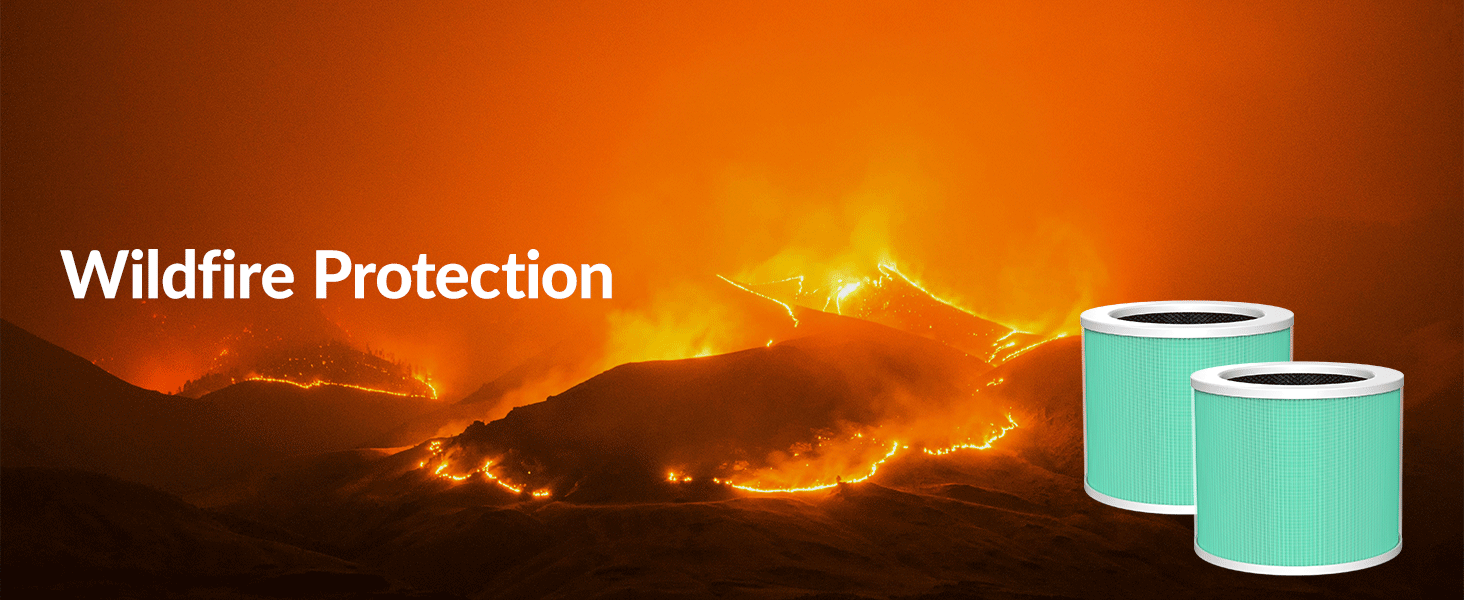 air purifiers for home