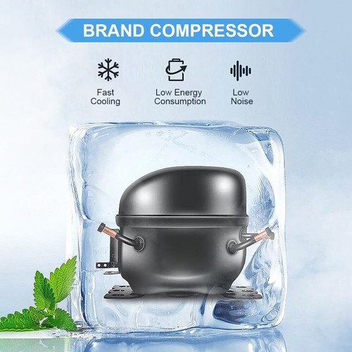 https://i.ebayimg.com/00/s/MTAwMFgxMDAw/z/pwsAAOSwfk5kxjmb/$_12.JPG?set_id=880000500F