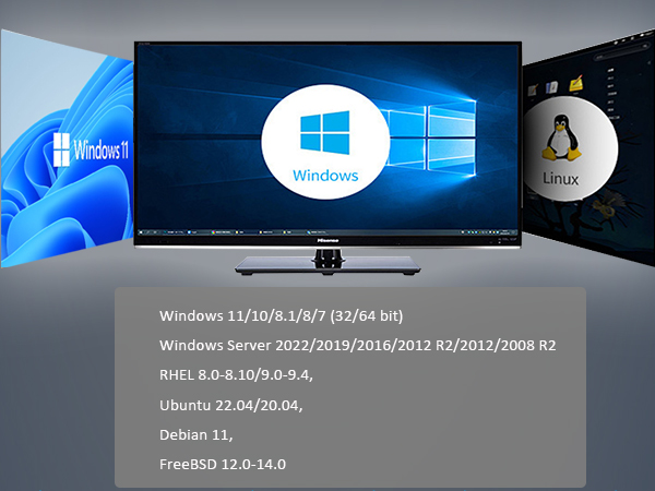 10 gb nic
