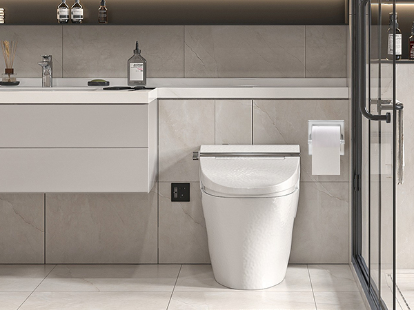 Recessed Toilet Paper Holder