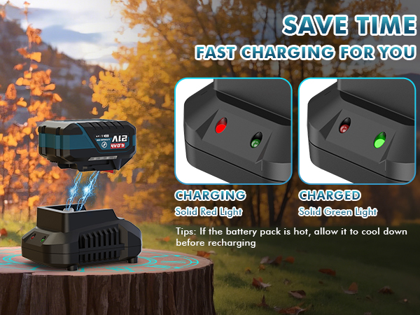 Leaf Blower with 2 Batteries and Charger