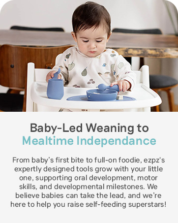 Baby-led weaning to mealtime experience