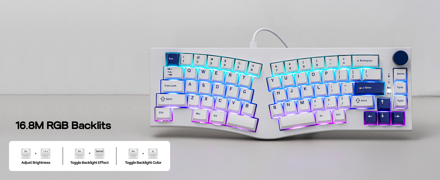 Alice80 Blue
