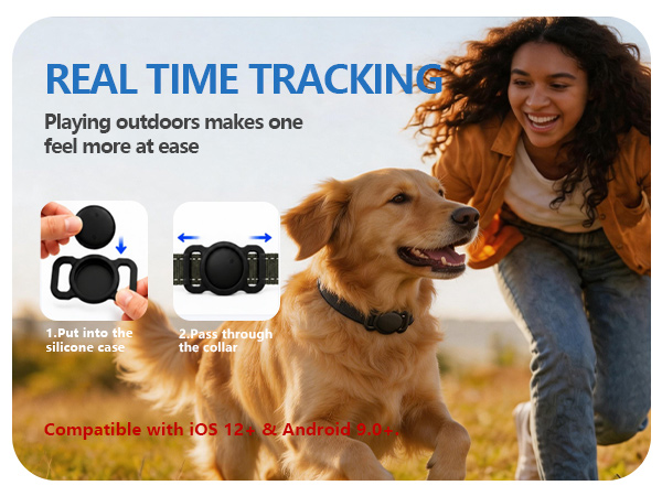 gps track for dog