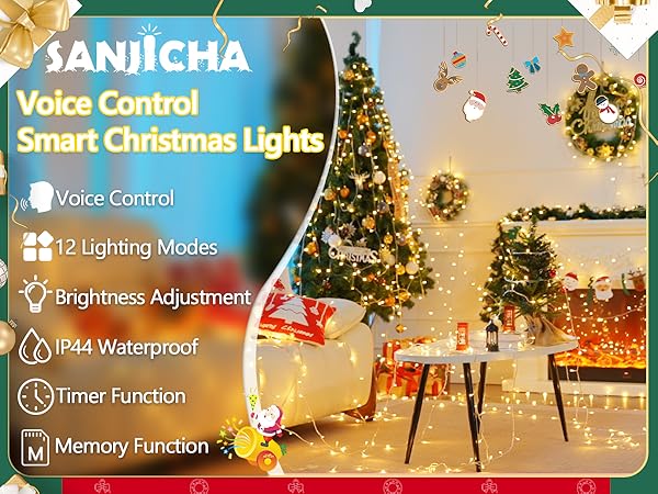 Christmas lights