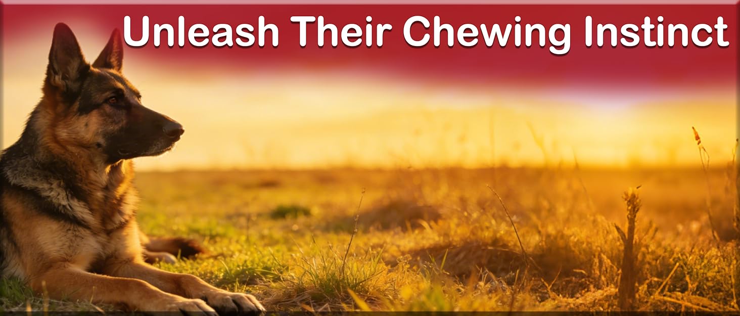 dog-chew-toys-for-aggressive-chewers