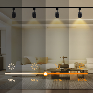 H type track lighting heads dimmable