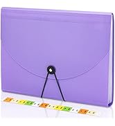 Accordian File Organizer 13 Pocket Expanding File Folder with Labels, A4 Letter Size Paper Docume...