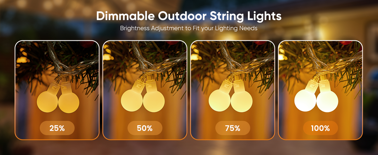 fairy lightsstring lights indoor
