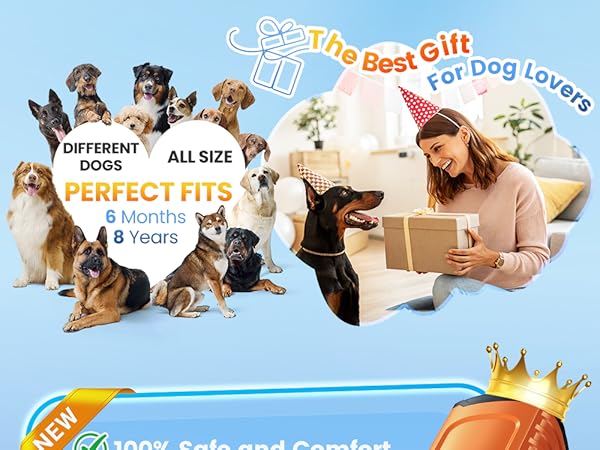 dog bark control anti bark