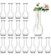 ZOOFOX Set of 16 Glass Bud Vase, Small Vases for Flowers, Clear Glass Flower Bottle for Rustic We...