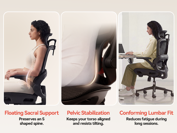 Ergonomic Chair