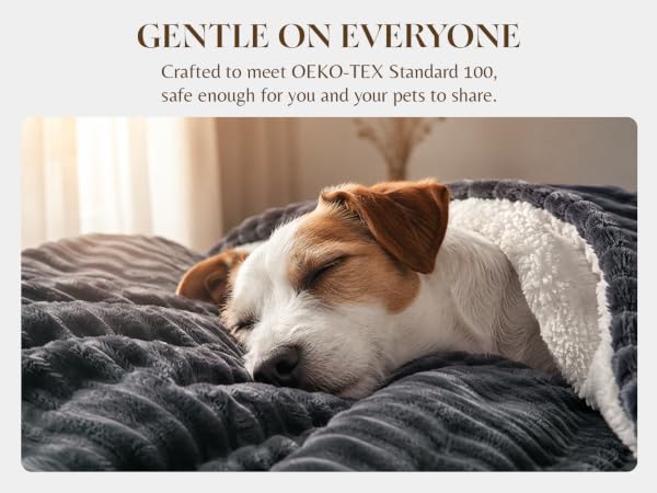 OEKO-TEX heated blanket safe for pets, electric throw for couch, gentle sherpa for dogs and family
