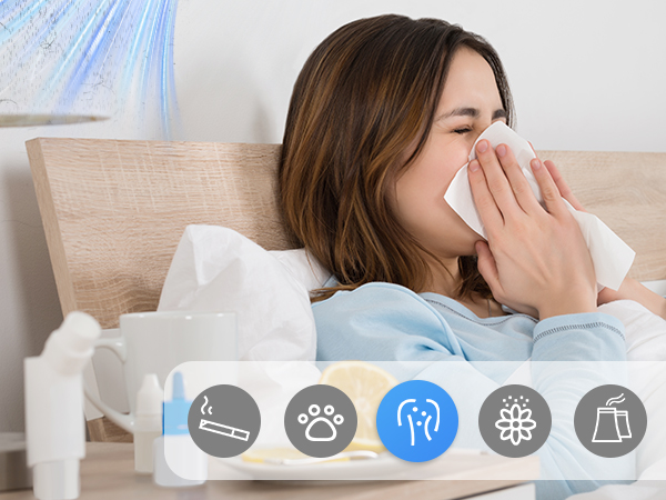 hepa large room air purifiers