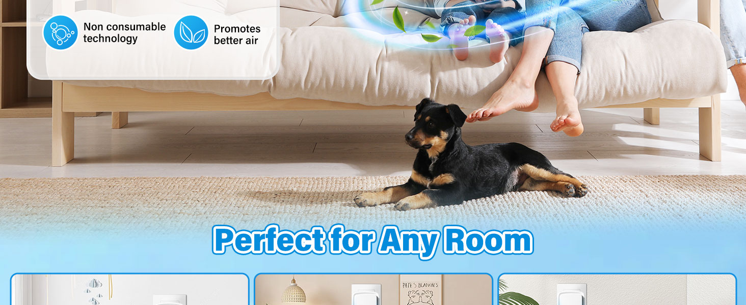 perfect for any room