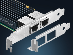 2-Port 10G Network Adapter