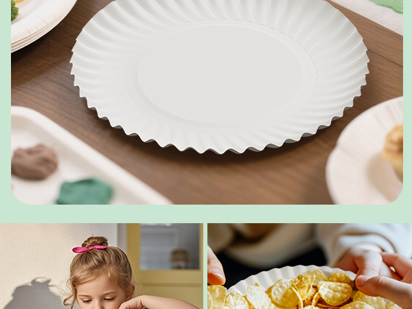 Disposable paper plates