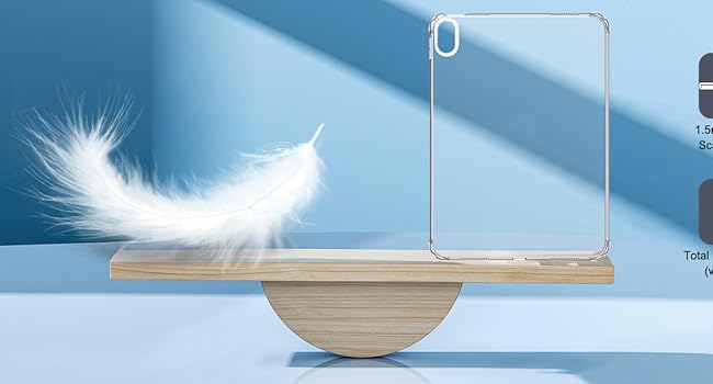 iPad 10th Gen. (10.9 inch, 2022 release)