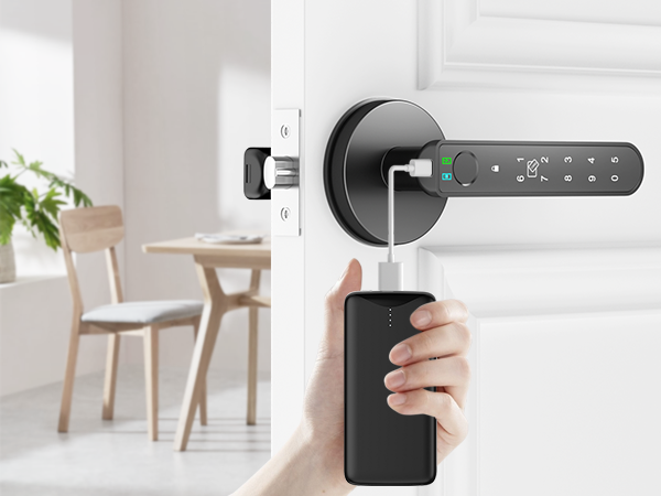 electric door locks for bedrooms black