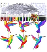 Winlyn 24 Sets Hummingbird Suncatcher Decorations DIY Window Paint Art Craft Kits Rainbow Bird Pa...