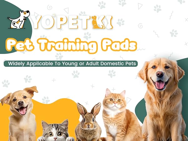 60 Count Puppy Pee Pads