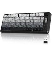 ZIYOU LANG M75 Wireless Gaming Keyboard, RGB Backlit Rechargeable 2000mAh Battery, Small Membrane...