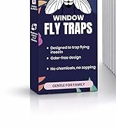 Window Fly Traps