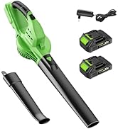 20V Leaf Blower Cordless with 2 Battery and Charger, 160MPH 180CFM High Speed Leaf Blower with 2 ...