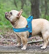Didog Soft Flannel Padded Dog Vest Harness, No Pull/Quick Fit Reflective Dog Strap Harness, Easy ...