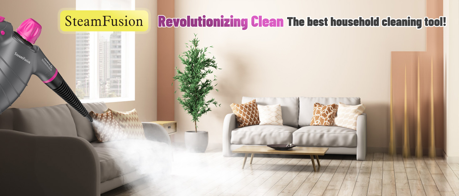 steam cleaner handheld