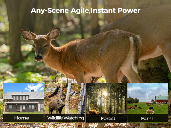 Multiple Usage Scenarios Deer Camera