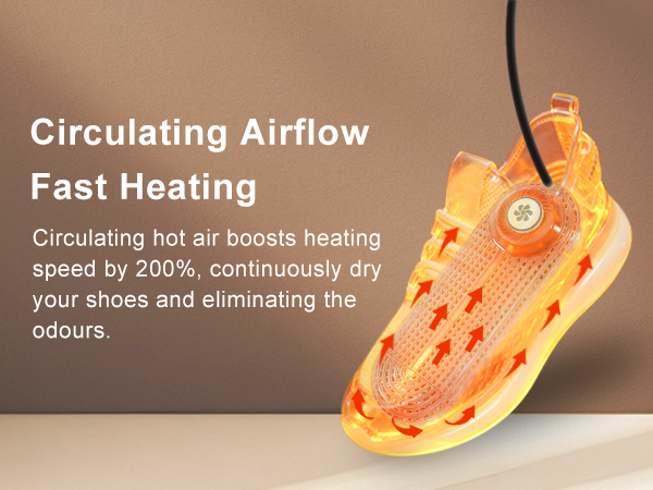 Electric Shoe Dryer