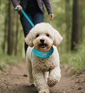 Dog Harness and Leash Set,Step in Small Sized Dog Harness,Soft Mesh,No-Chock,Reflective Adjustabl...