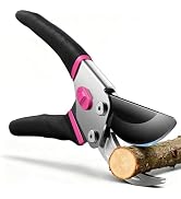 garden clippers