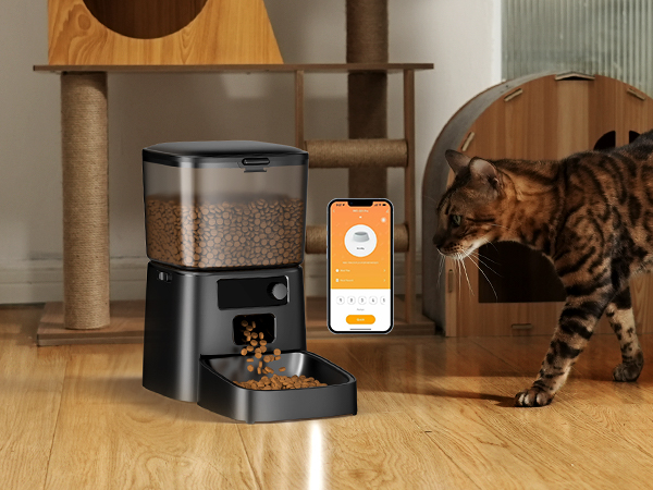 wifi cat feeder