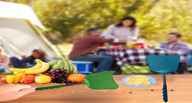 Telescopic Fly Swatters