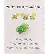 Gryshanyun Green Mini Pocket Turtle, Inspirational Gift with Card for Friends and Family, Positiv...