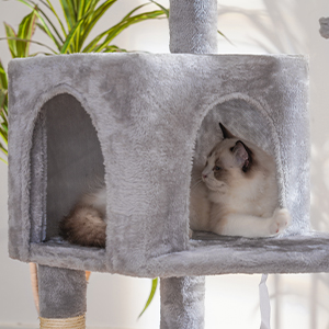 cat tree