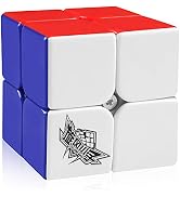 D-FantiX Cyclone Boys 2x2 Speed Cube Stickerless 2 by 2 Magic Cube Puzzles Toys 50mm