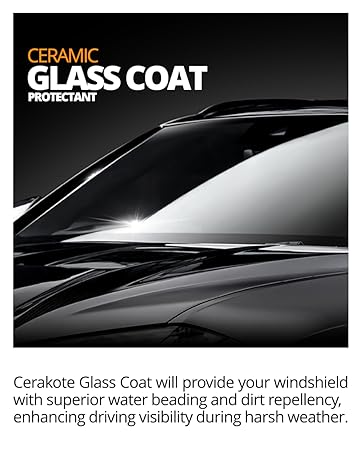 Glass Module