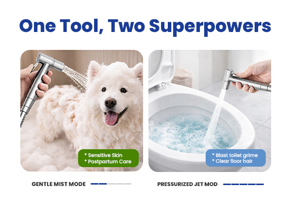 Bidet Sprayer