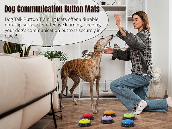 voice recording button