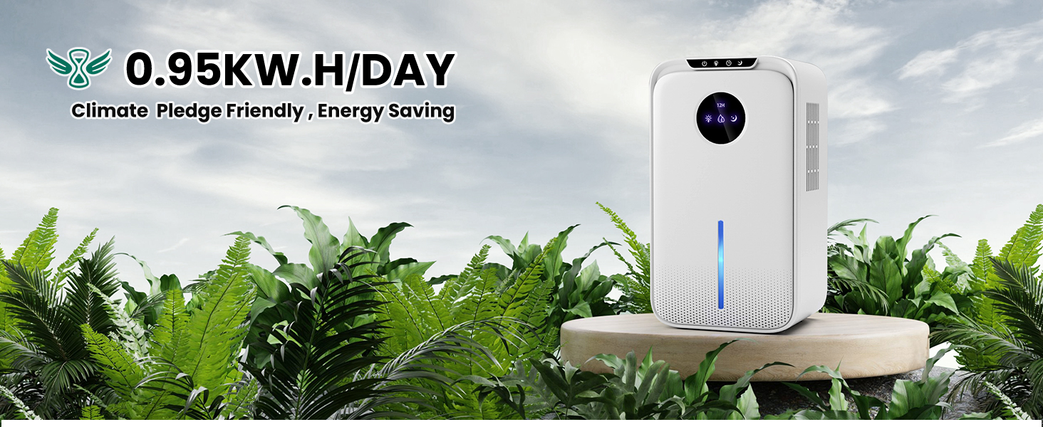Dehumidifiers for home