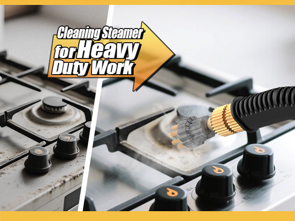 steam cleaner for home